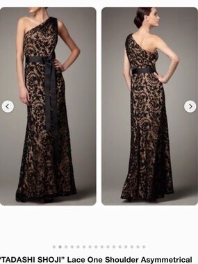 Tadashi Shoji Black Lace One-Shoulder Gown with Nude Underlay